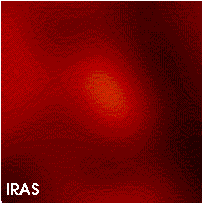 Confusedmips160-iras.gif